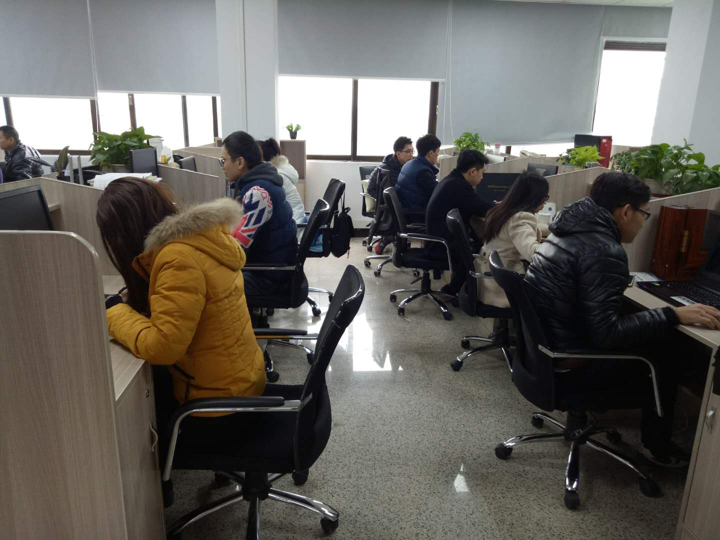 微信图片_20180210102849.jpg